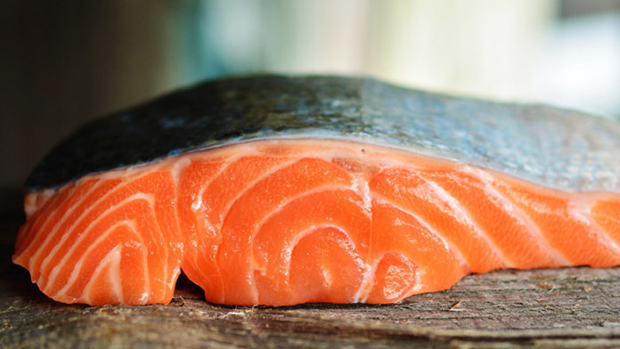 Can Raw Salmon Make You Sick: Addressing Food Safety Concerns