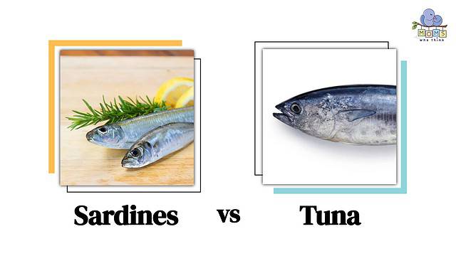 Mahi Mahi vs Salmon: Contrasting Flavors and Textures of Fish