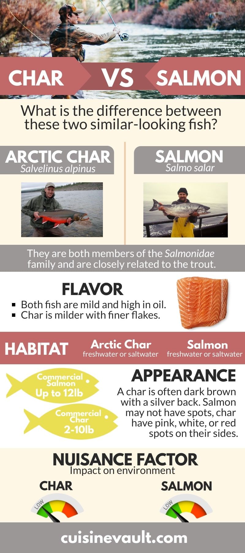 Arctic Char vs Salmon: Comparing Coldwater Fish Varieties