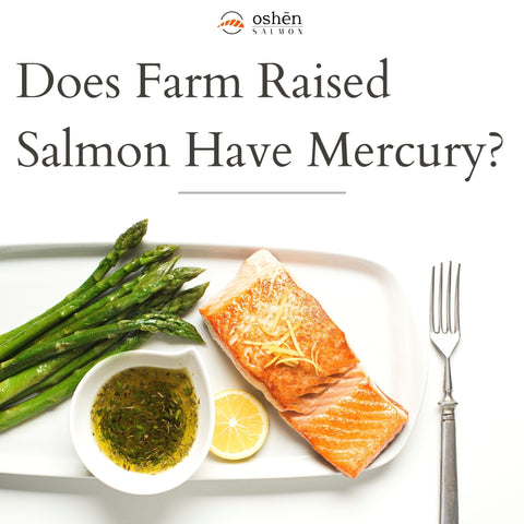 How Much Salmon Is Too Much: Considering Dietary Recommendations