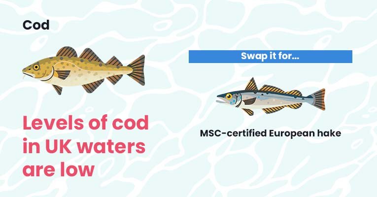 Salmon vs Cod: Comparing Popular Fish Choices