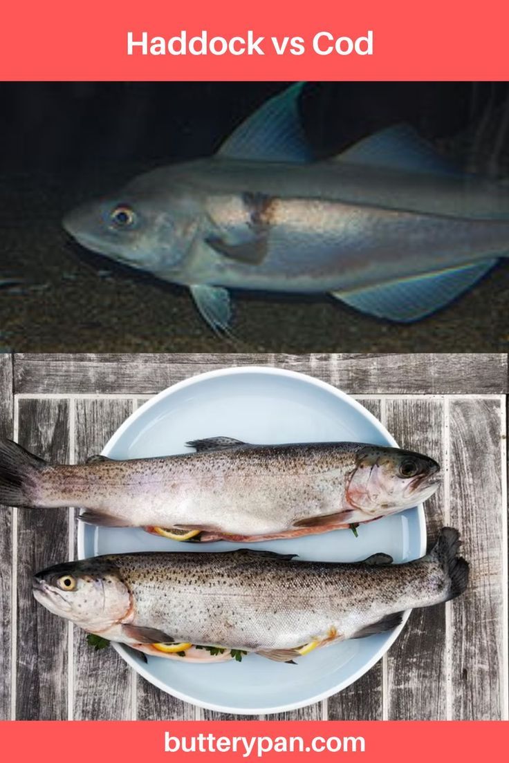 Difference Between Cod and Haddock: Contrasting White Fish Varieties