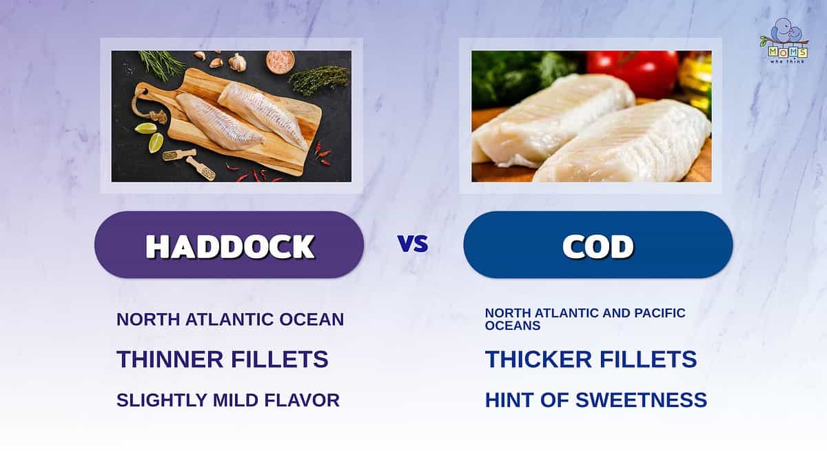 Difference Between Cod and Haddock: Contrasting White Fish Varieties