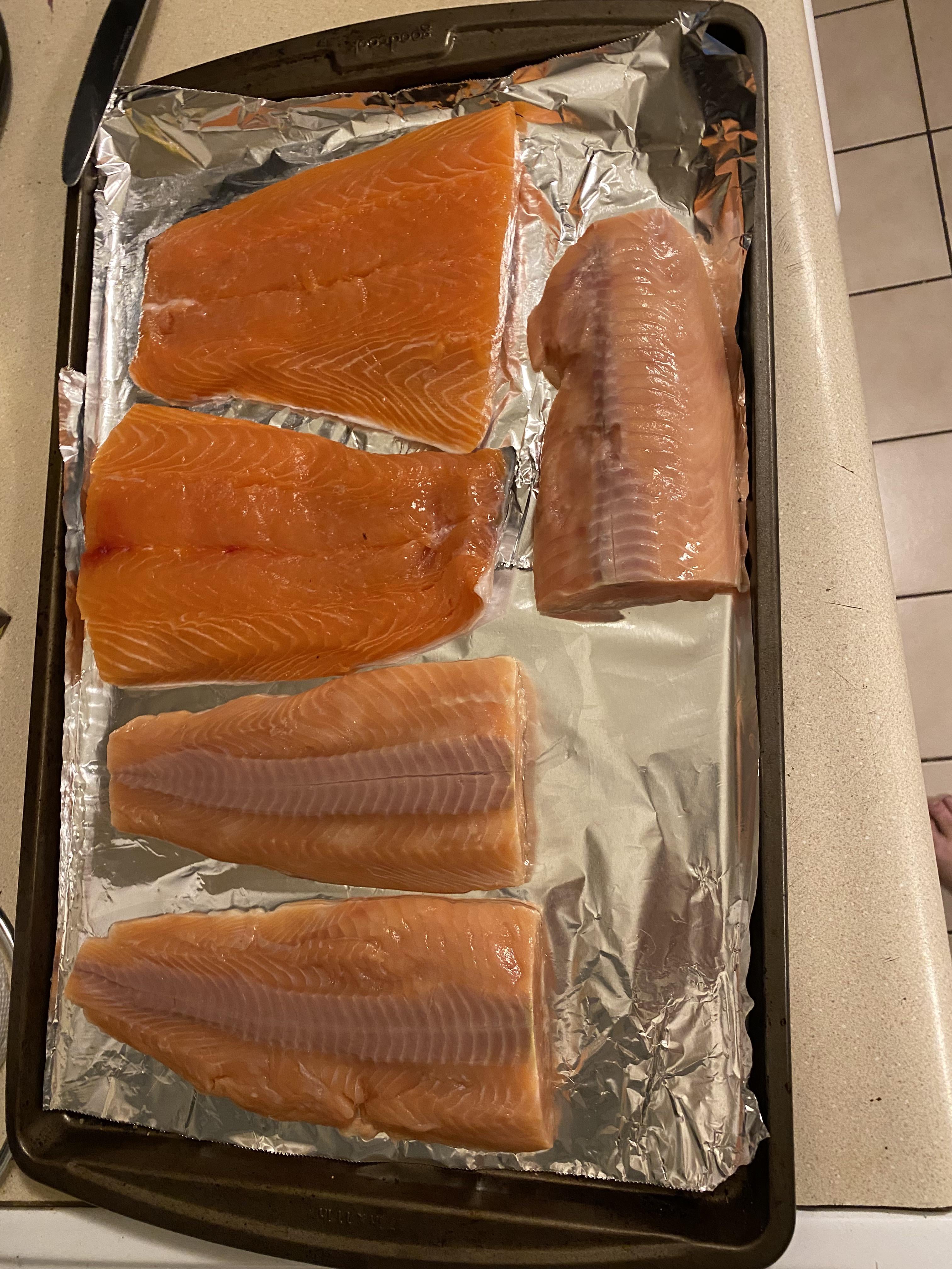 Fresh Salmon vs Frozen Salmon: Considering Storage Options and Quality