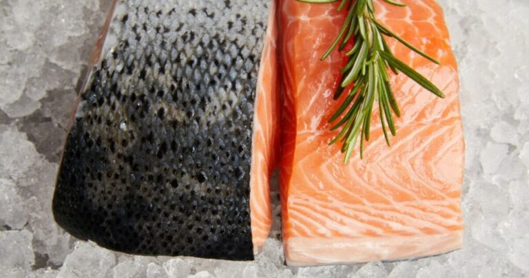 What Does Raw Salmon Taste Like: Describing Raw Fish Flavors