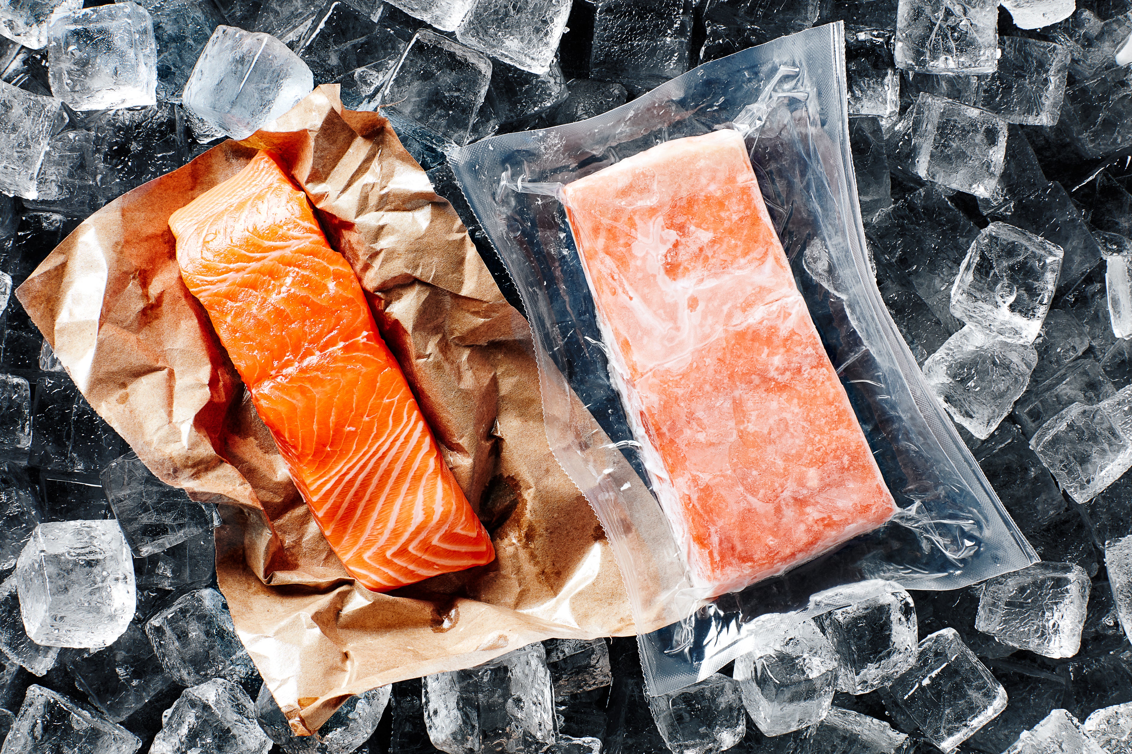 Can You Refreeze Salmon: Navigating the Freezing Process