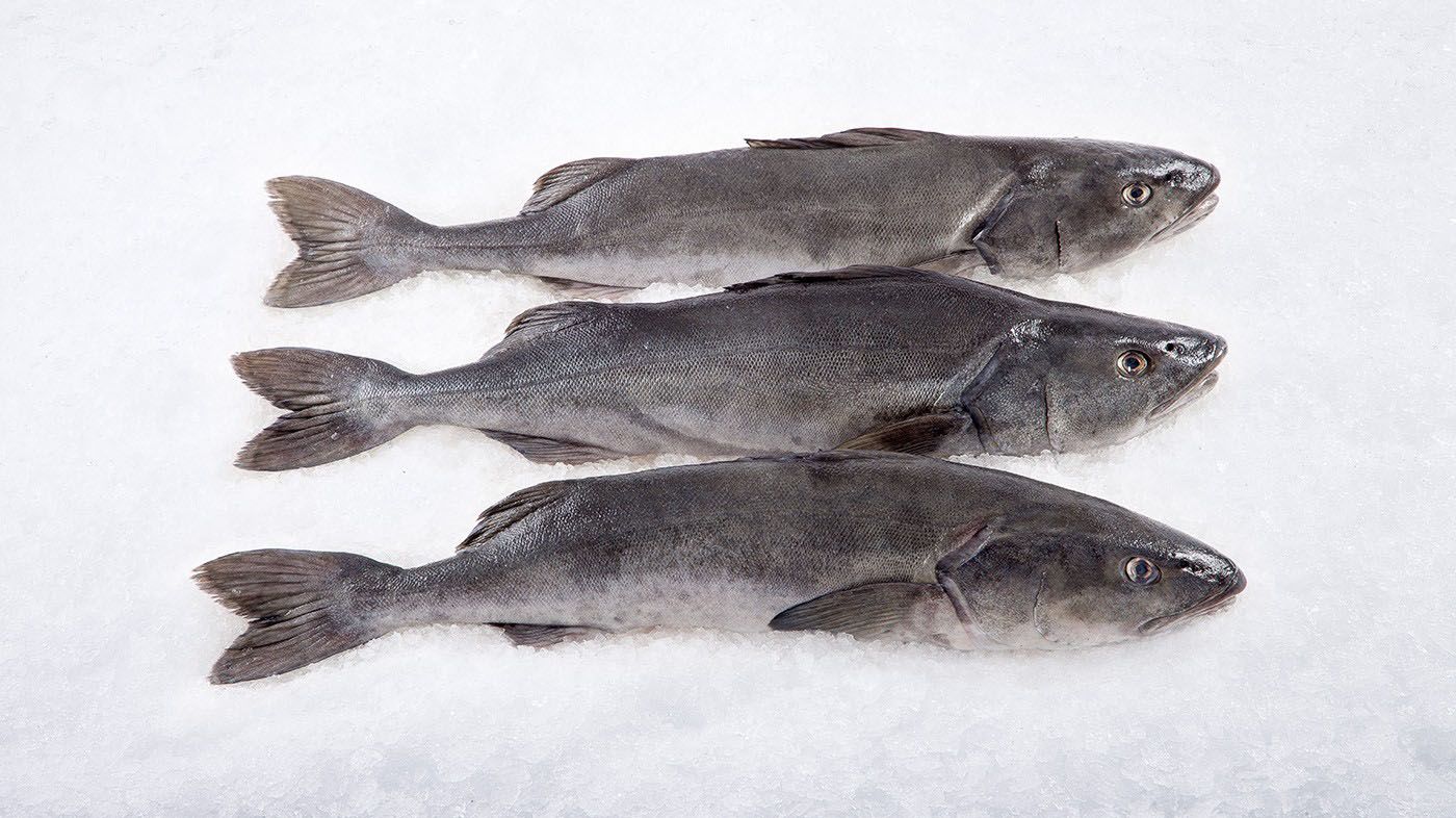 Black Cod Near Me: Seeking Out the Butteriest Fish