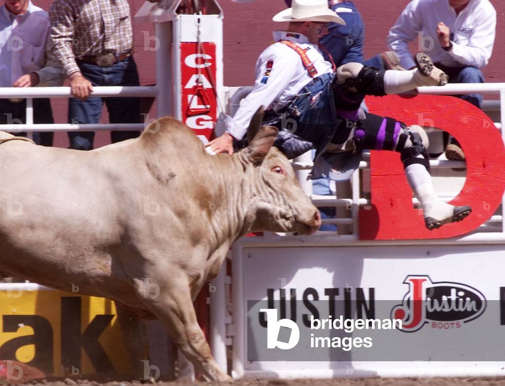 TJ Baird Death & Obituary: Honoring an Alberta Rodeo Legend and Bullfighter